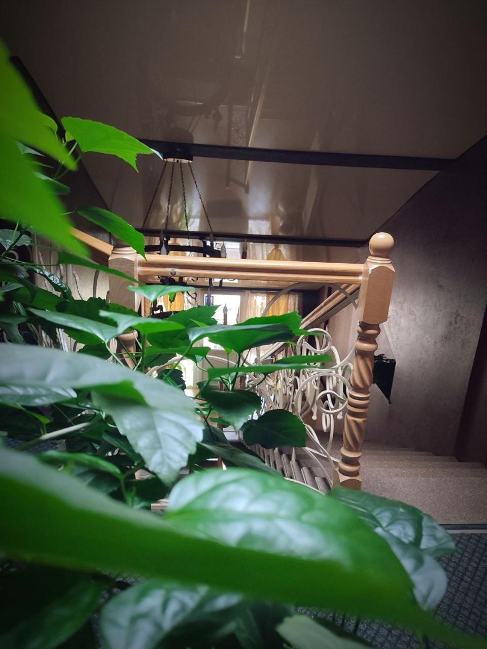 Diamond De Luxe Appartement Kolomiya Buitenkant foto